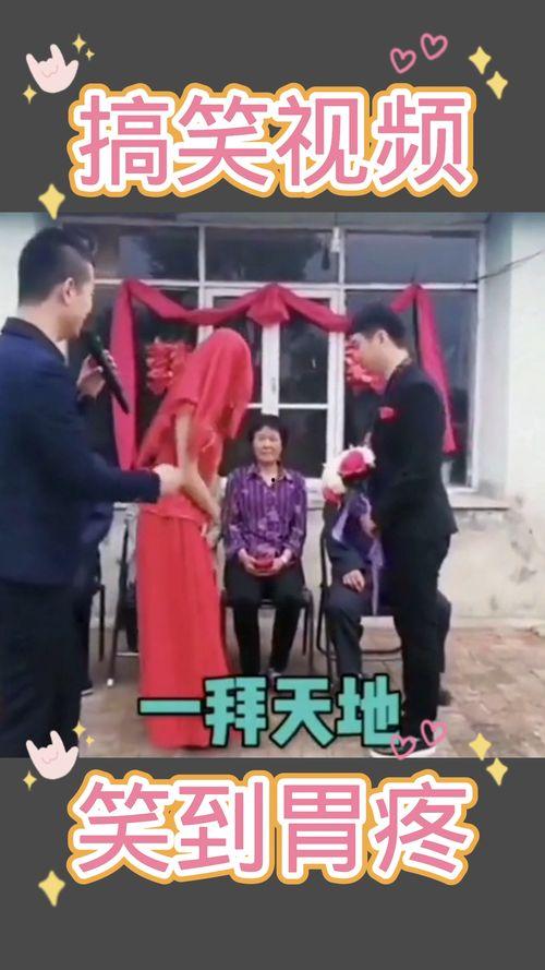 各种爆料视频笑得胃疼,揭秘那些让人笑到胃疼的爆料视频